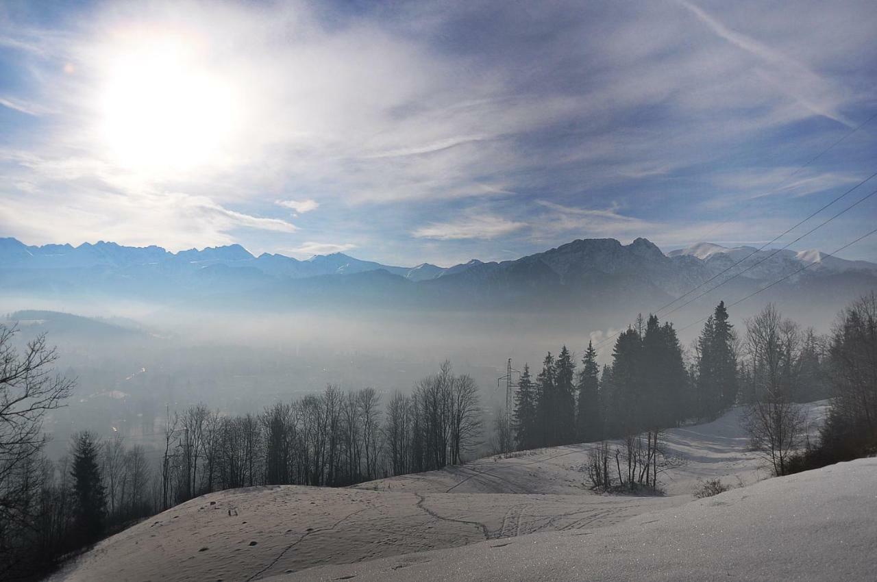 Willa Balamutka Zakopane Kültér fotó